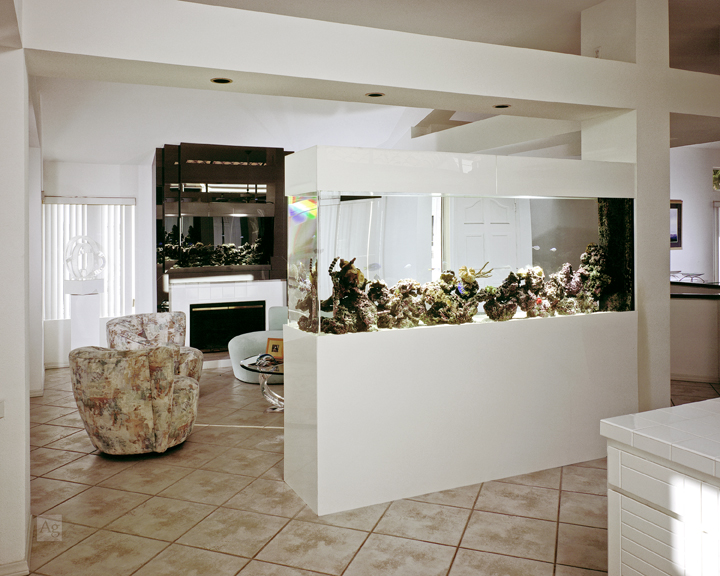 Commissioned by and licensed solely to The Fish King Custom Aquariums.