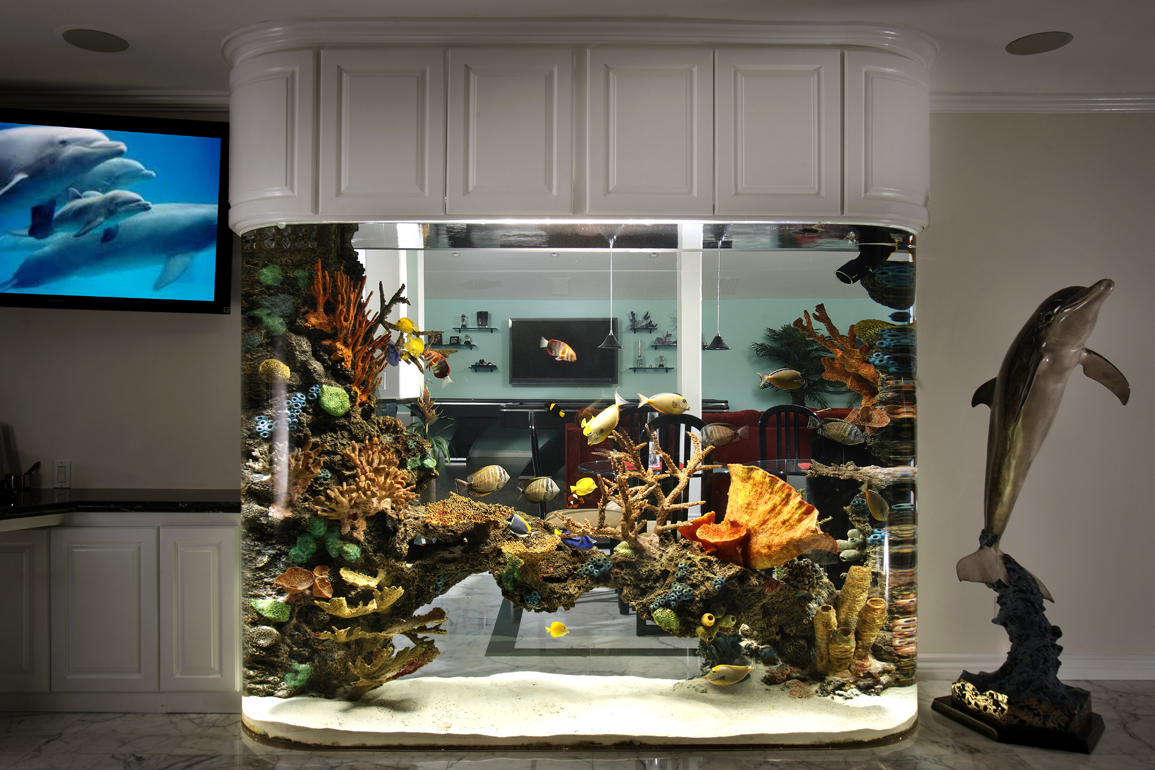 Commissioned by and licensed solely to The Fish King Custom Aquariums.