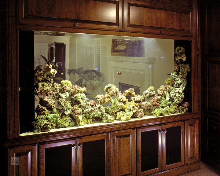 Commissioned by and licensed solely to The Fish King Custom Aquariums.